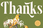 Qastife Elegant Display Serif, a Serif Font by timelesstype.co (Thumbnail 20 of 20)