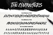 Stone Harbour Brush Font + Extras, a Handwritten Font by Nicky Laatz (Thumbnail 10 of 10)