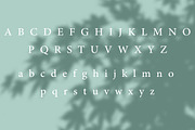 Verde Elegant Modern Font, a Sans Serif Font by PixelHive Pro (Thumbnail 8 of 14)