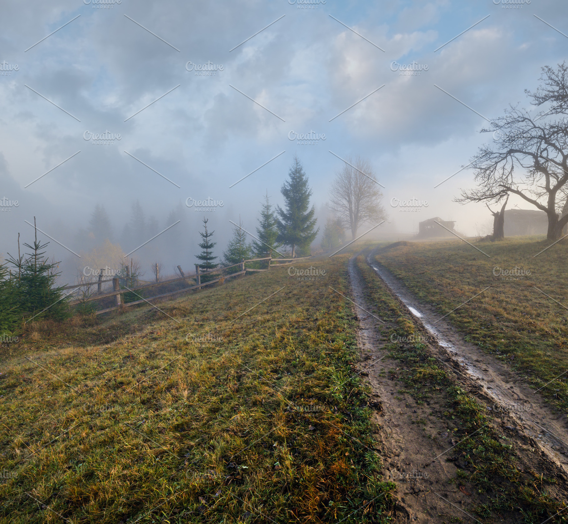 Foggy autumn mountain sunrise scene. Peaceful picturesque travel, a Nature Photo by YuriyB