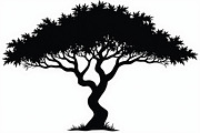 Wild Forest Tree Clipart Set, an Illustration by balal (Thumbnail 5 of 20)