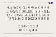 Cherola Typeface, a Serif Font by alit design (Thumbnail 9 of 15)