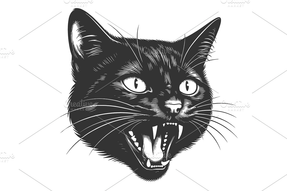 Hissing Black Cat Face engraving, an Animal Illustration by AlexArt