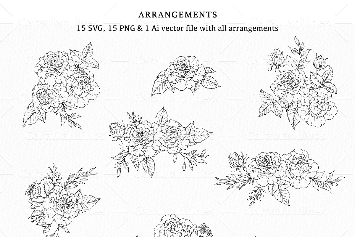 Rose Flower Line Art, an Object Graphic by CaraulanStore (Photo 2 of 6)