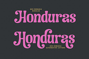 Neo Romania - Decoratif Serif Font, a Serif Font by Subectype Studio (Thumbnail 3 of 9)
