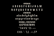 Twisly Twisted Serif Font, a Font by PutraCetol Studio (Thumbnail 5 of 5)