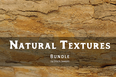 Natural Wood and Bark Texture Bundle