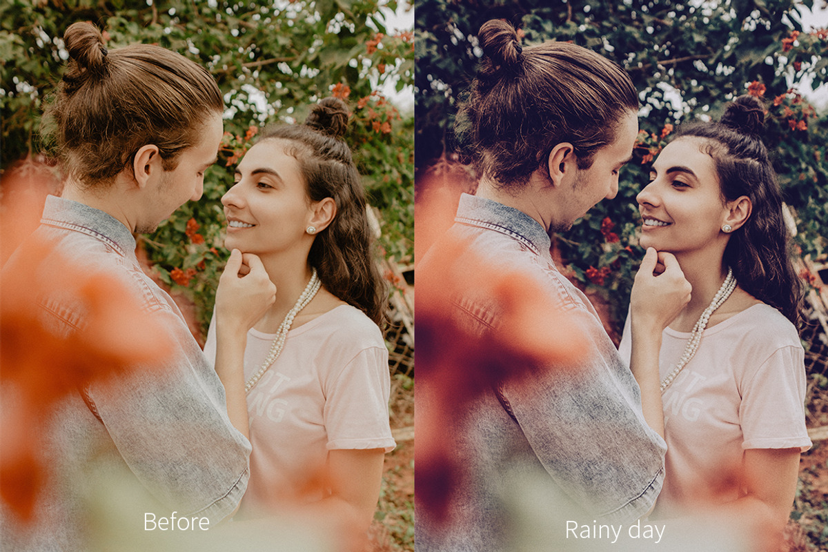 Moody Presets For Desktop+Mobile preview 7