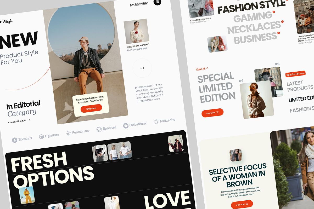 Staylo - Fashion Style, a Templates & Theme by keffidesign (Photo 2 of 3)