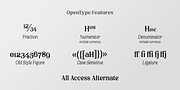 Rouge Gorge, a Serif Font by Par Défaut (Thumbnail 4 of 6)