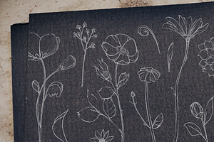 Chalkboard Flowers & Company