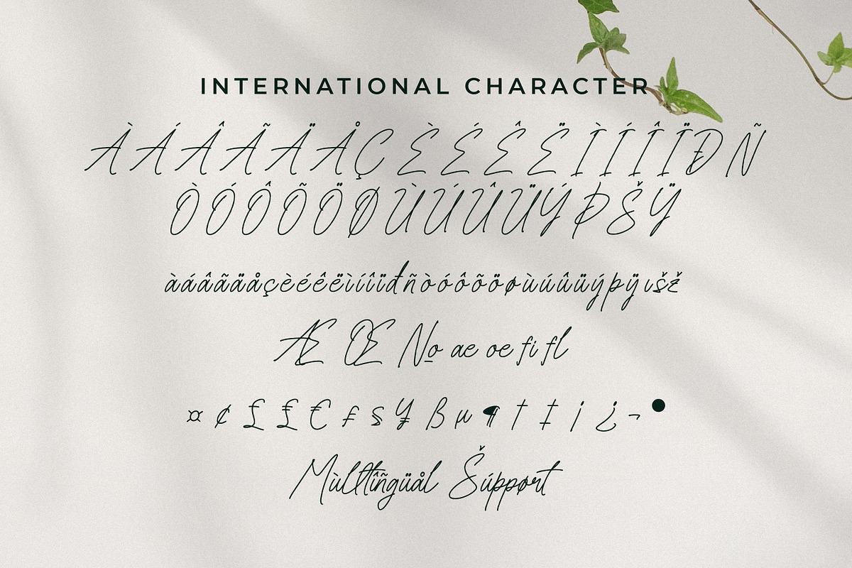 Senofeetha, a Script Font by Integritype Studio (Photo 10 of 15)