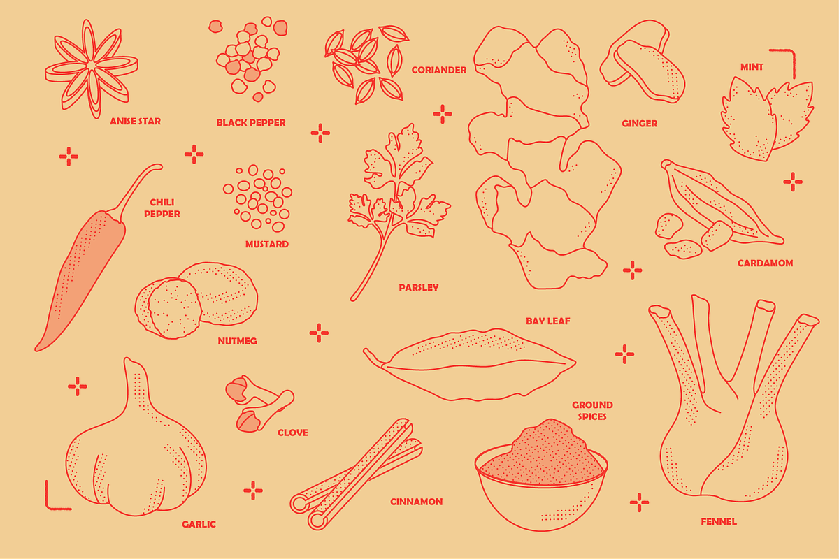 Indian Food Vector Illustrations, a Food Illustration by TheFoodAtlas (Photo 13 of 15)