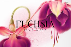 Fuchsia - Watercolor Flowers