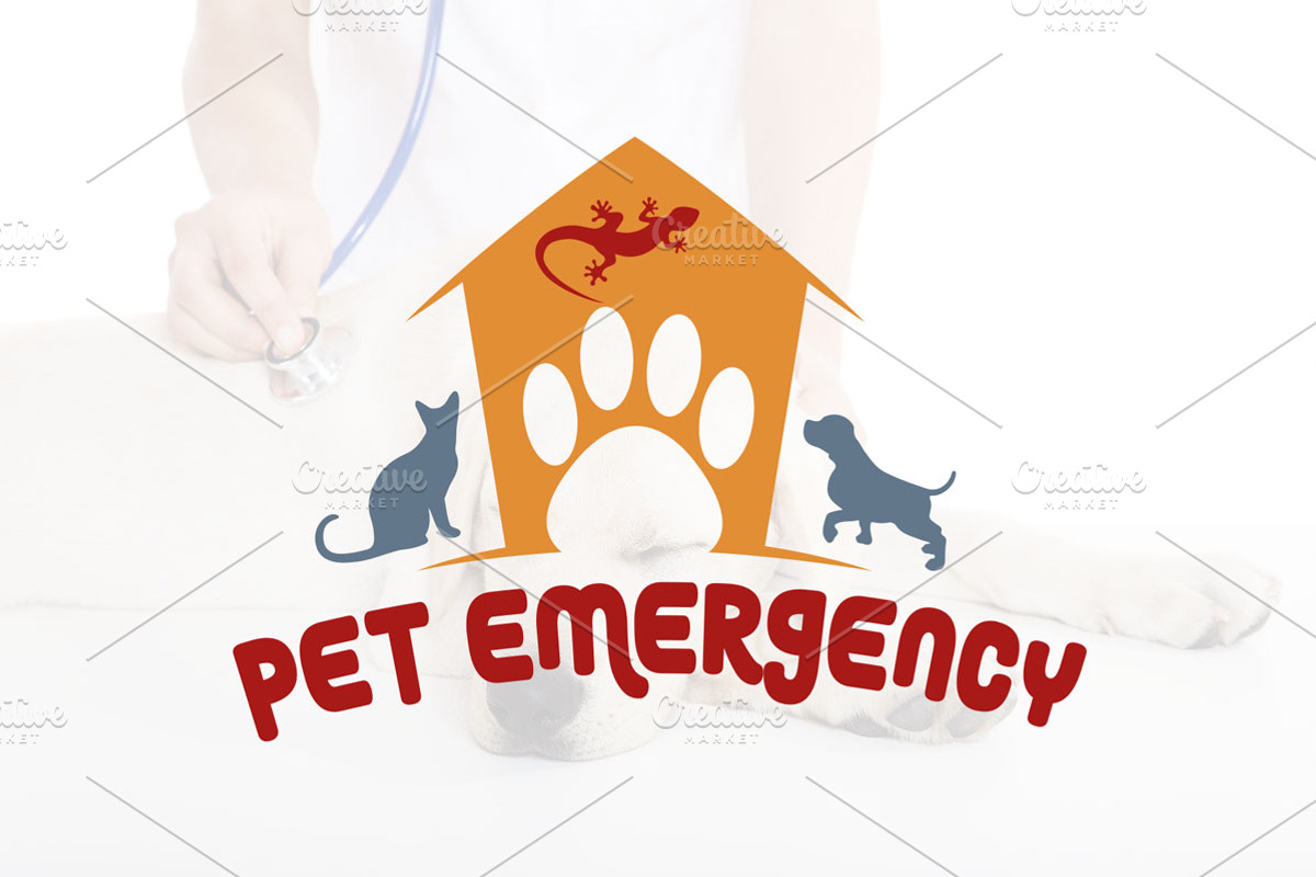 Veterinary Logo Pack Creator, a Branding & Logo Template by Luis Quesada Design (Photo 4 of 5)