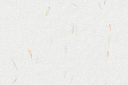 Yellow Petals Paper Texture. Floral Decorative Natural Chinese Fibers Backgroun, a Background Photo by Textures & Backgrounds