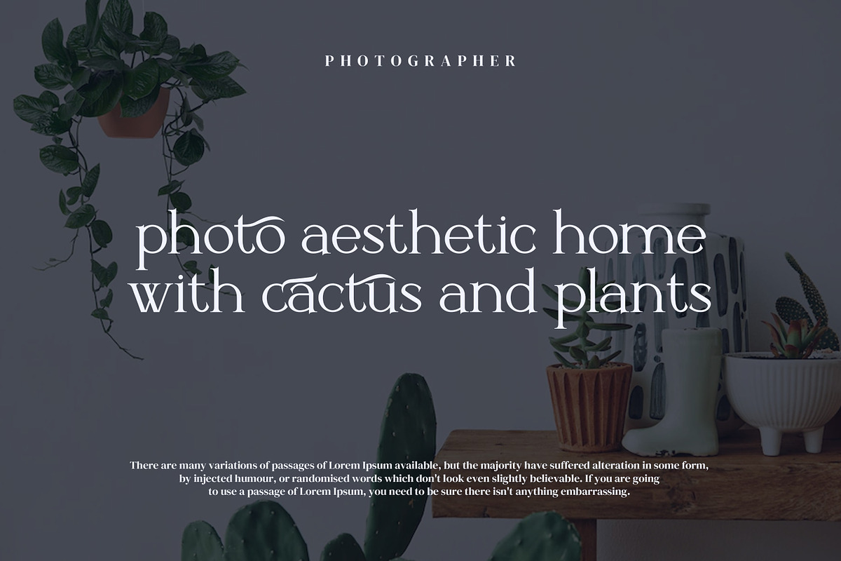 Hitorald Serif Fonts, a Serif Font by mahstudios (Photo 5 of 15)