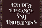 Olivas, a Serif Font by Khoir (Thumbnail 12 of 13)
