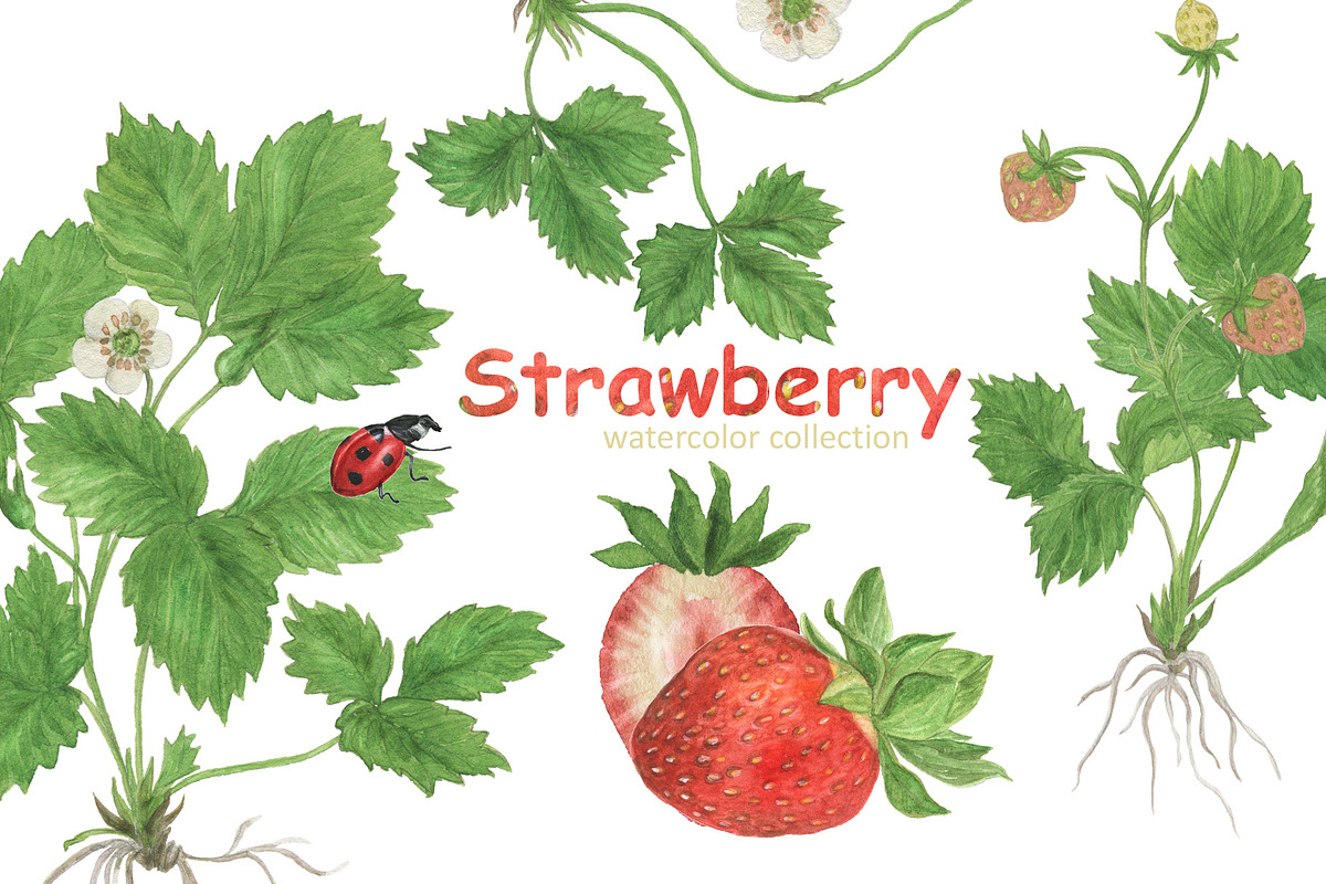 Strawberry-watercolor collection, a Pattern Graphic by ramika (Photo 1 of 4)