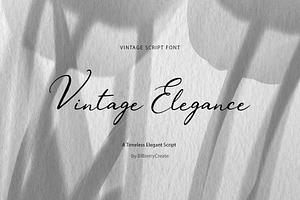 Vintage Elegance Script, a Script Font by BilberryCreates
