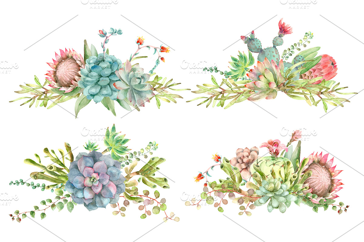 Succulent and Cactus collection, an Illustration by IvanFet (Photo 10 of 10)