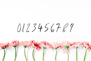 Jaraad Script 4 Font Family Pack, a Script Font by Creativetacos (Thumbnail 3 of 5)