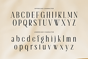 Aqila - Condensed Luxury Font, a Serif Font by Sensatype (Thumbnail 10 of 12)