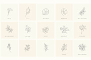 Botanical Hand Drawn Designs, Logos, a Seasonal Illustration by Designwork (Thumbnail 4 of 22)