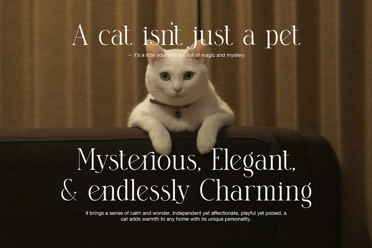 Clasina Elegant Serif Font, a Serif Font by Elegant Font (Photo 6 of 8)