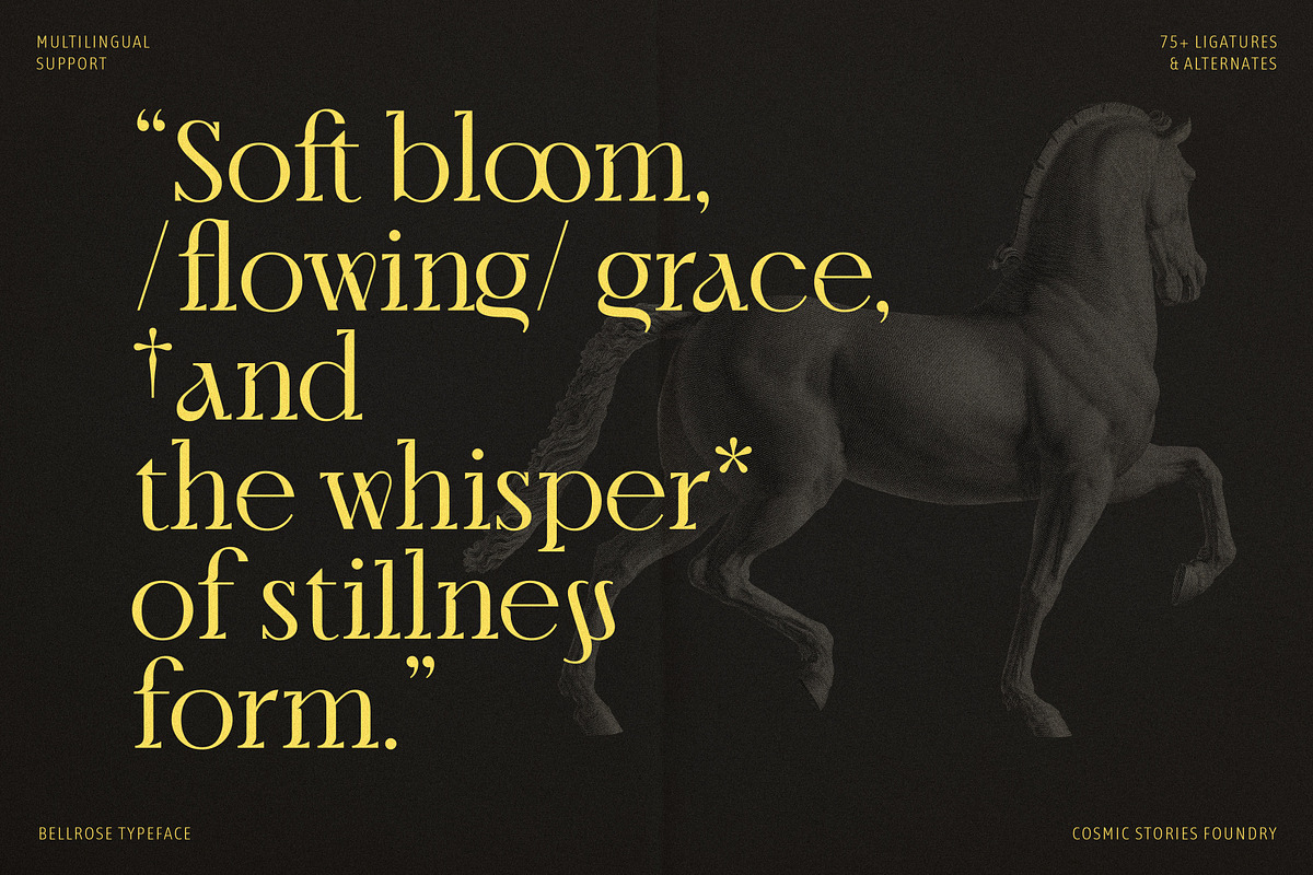 Bellrose Display Serif Font, a Serif Font by CarmineType (Photo 12 of 24)