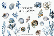 Watercolor underwater ocean animals, an Animal Illustration by Grace Noboa Illustrations (Thumbnail 5 of 9)