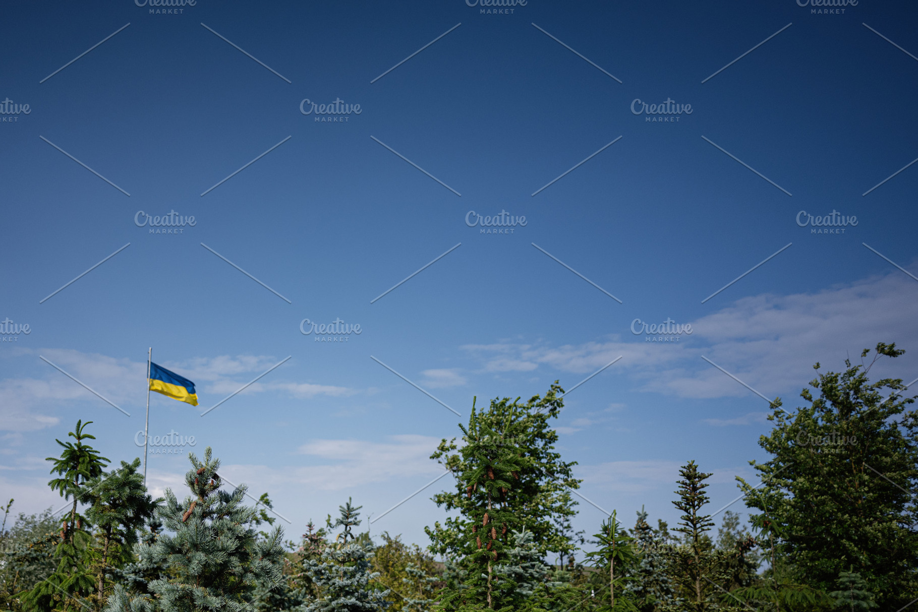 Ukrainian flag flying above lush green trees against a vivid blue sky, a Photo by AS photostudio