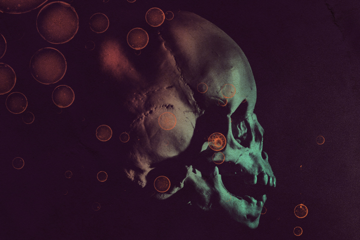 Skull Brushes, a Brush Add-On by RuleByArt (Photo 2 of 10)
