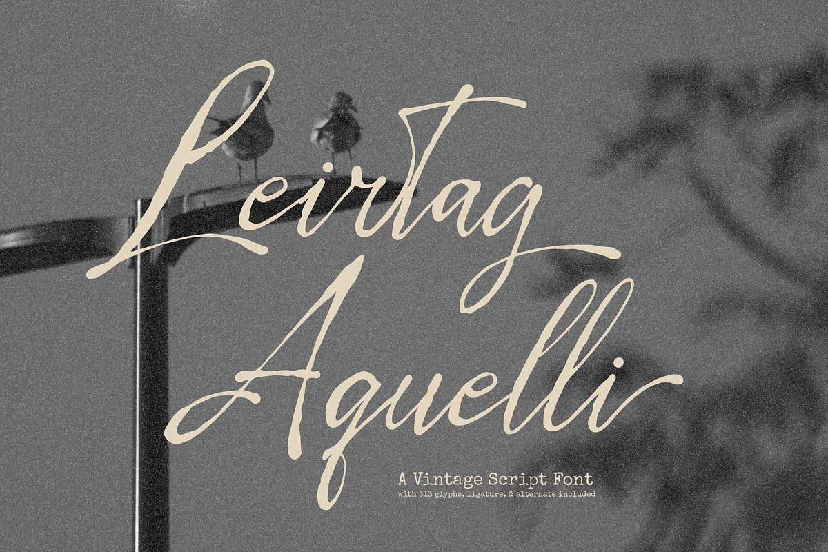 Leirtag Aquelli | Vintage Script, a Script Font by Denustudios (Photo 1 of 15)