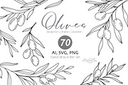 Olives Line Art Clipart, an Object Graphic by CaraulanStore (Thumbnail 1 of 3)