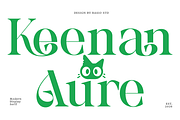 Keenan Aure Modern Serif Font, a Serif Font by Rasio Studio (Thumbnail 1 of 9)