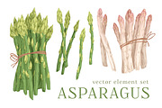 Hand drawn asparagus stems set, a Food Illustration by Good Studio (Thumbnail 1 of 3)