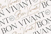 Bon Vivant Collection, a Serif Font by Nicky Laatz (Thumbnail 1 of 44)