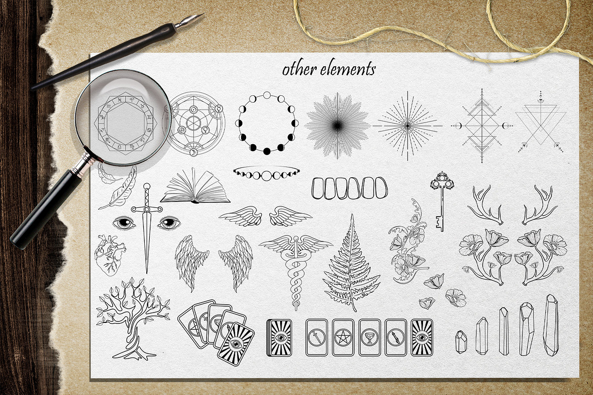 MAGIC collection - Vector ClipArt, an Animal Illustration by Evgenia Pichkur (Photo 6 of 12)