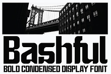 Bashful - Sans Condensed Font