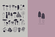 Magnificent Mushrooms, a Food Illustration by Annakniaz (Thumbnail 4 of 15)