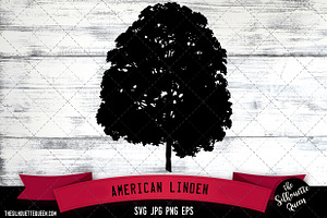 American Linden SVG