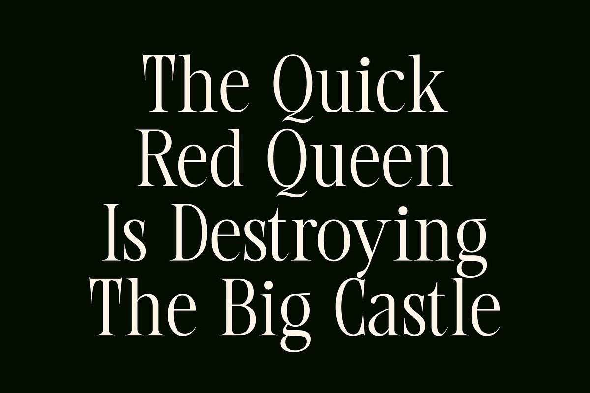 CS Beavis – Modern Serif Font, a Serif Font by Craft Supply Co. (Photo 4 of 8)