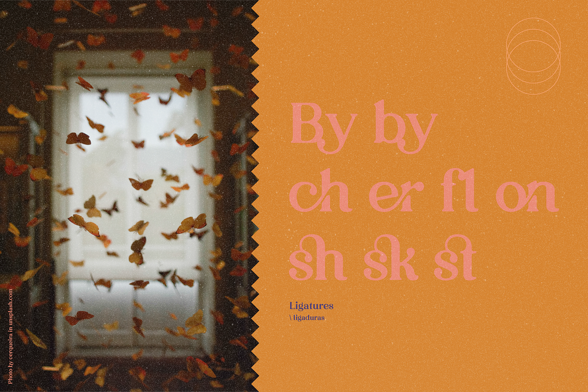By Lush - Modern Cute Serif, a Serif Font by The Fooltype (Photo 9 of 12)