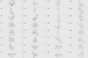 Procreate flower stamp, peony brush, a Brush Add-On by AnnaPolitmerskaja (Thumbnail 4 of 5)
