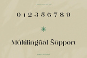 Qamille - Modern Classic Serif Font, a Serif Font by StudioinBry (Thumbnail 12 of 13)