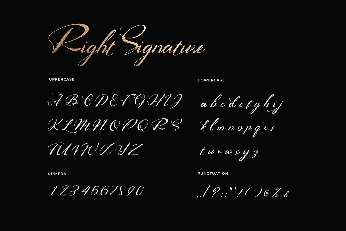 Right Signature Classic Handwritten, a Script Font by UICreative
