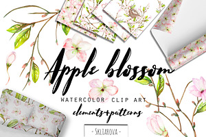 Apple Blossom. Watercolor Clip Art.