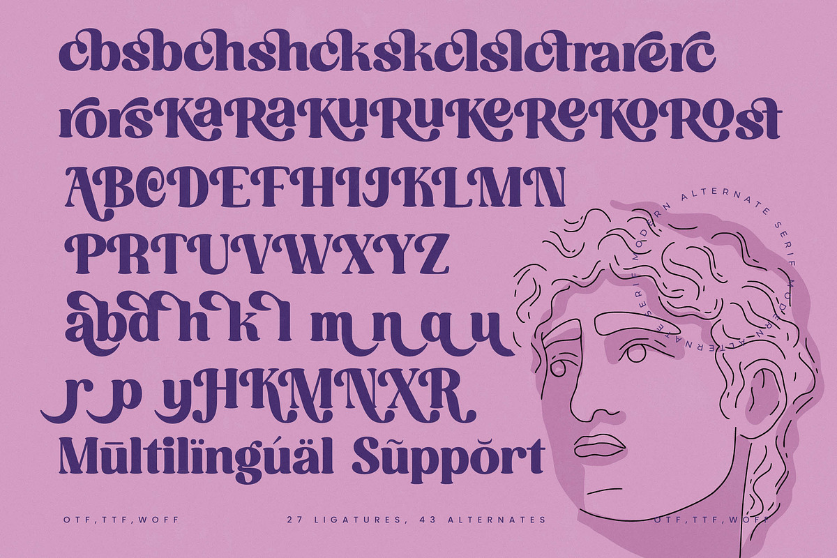 Mathreal Modern Display Serif, a Serif Font by timelesstype.co (Photo 19 of 20)