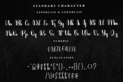 Alphabet, a Handwritten Font by FreshTypeINK (Thumbnail 4 of 7)